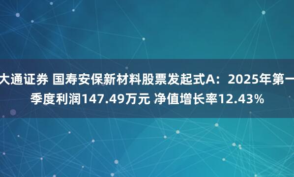 大通证券 国寿安保新材料股票发起式A：2025年第一季度利润147.49万元 净值增长率12.43%