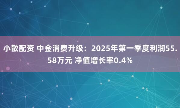 小散配资 中金消费升级：2025年第一季度利润55.58万元 净值增长率0.4%