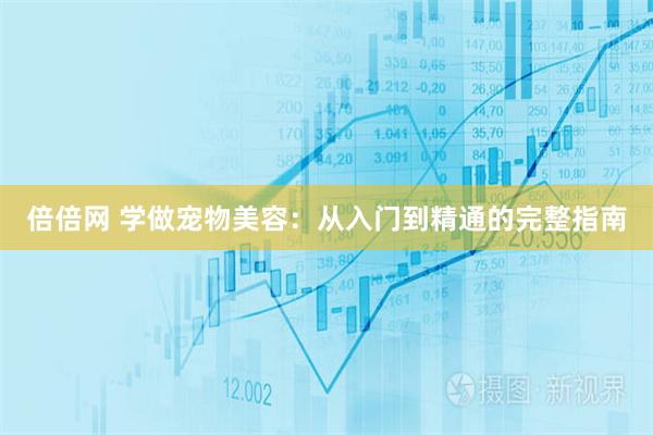 倍倍网 学做宠物美容：从入门到精通的完整指南