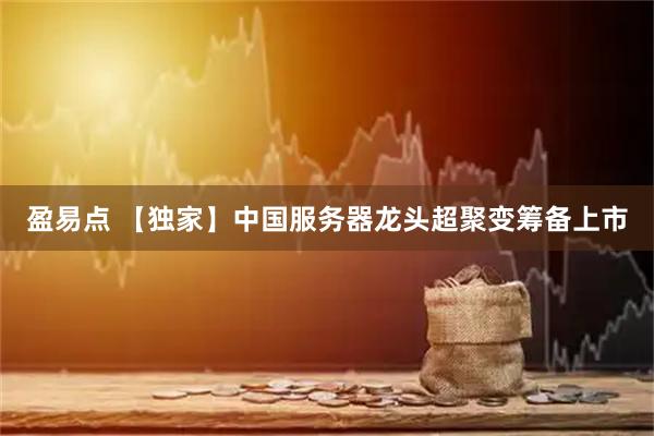 盈易点 【独家】中国服务器龙头超聚变筹备上市