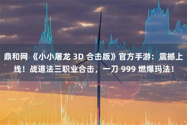 鼎和网 《小小屠龙 3D 合击版》官方手游：震撼上线！战道法三职业合击，一刀 999 燃爆玛法！